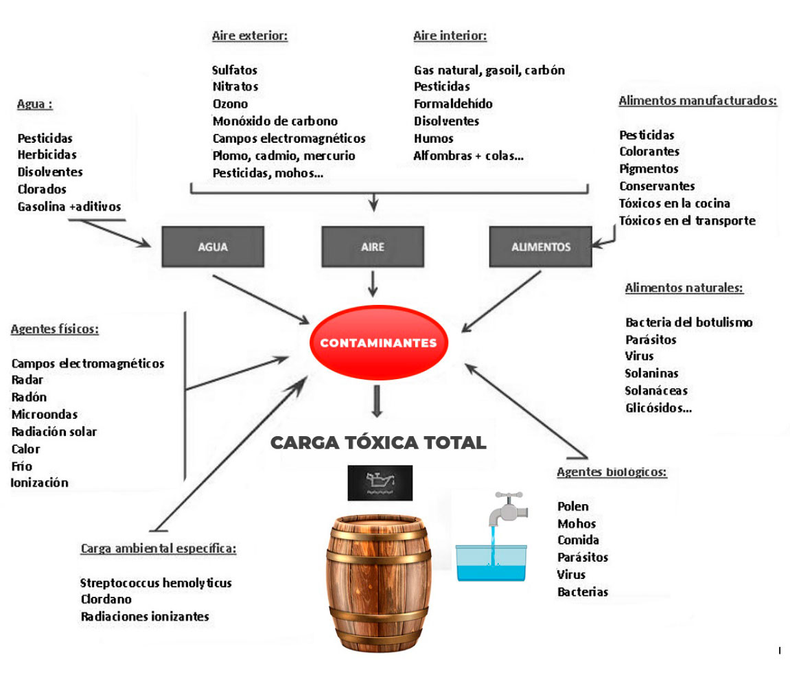 grafica-1
