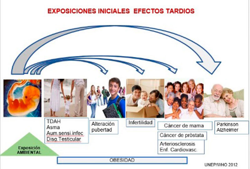 grafica-2