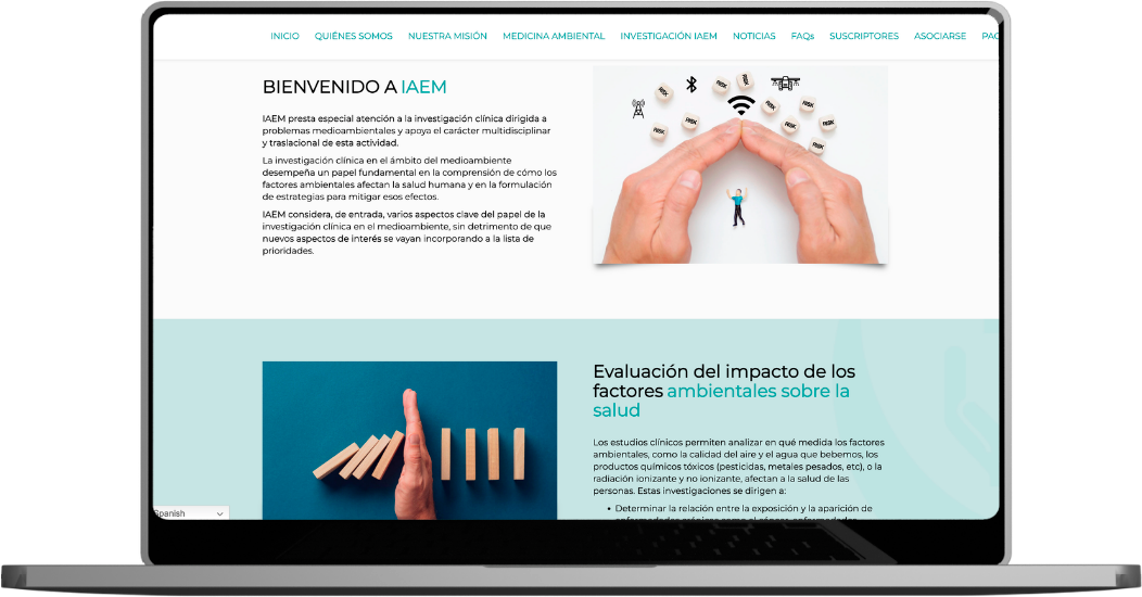 Asociación IAEM ©