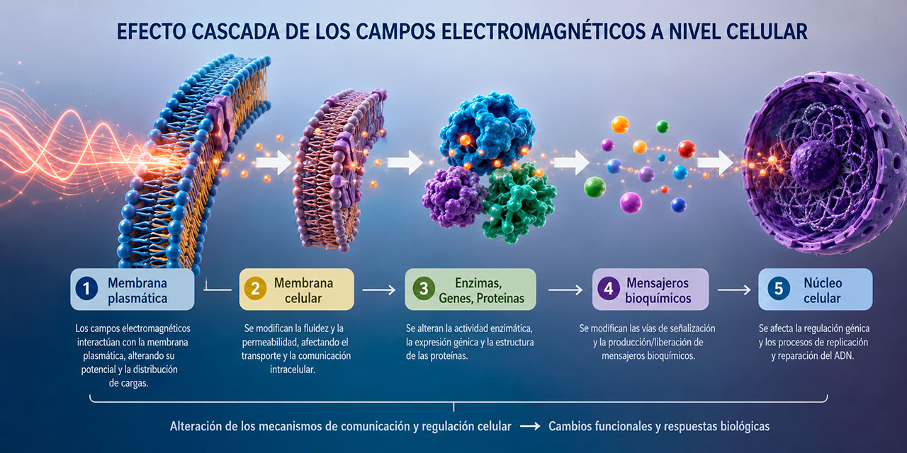 Exposoma Físico | Asociación IAEM Exposoma Físico | Asociación IAEM