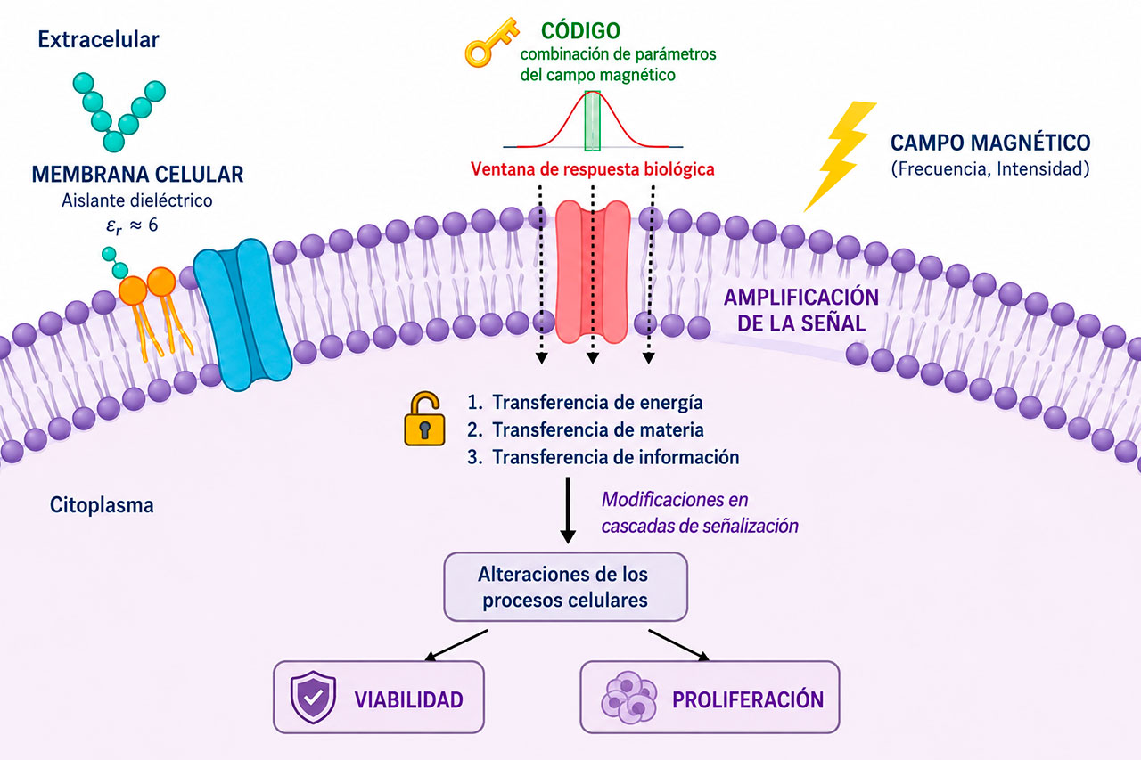 Exposoma Físico | Asociación IAEM Exposoma Físico | Asociación IAEM